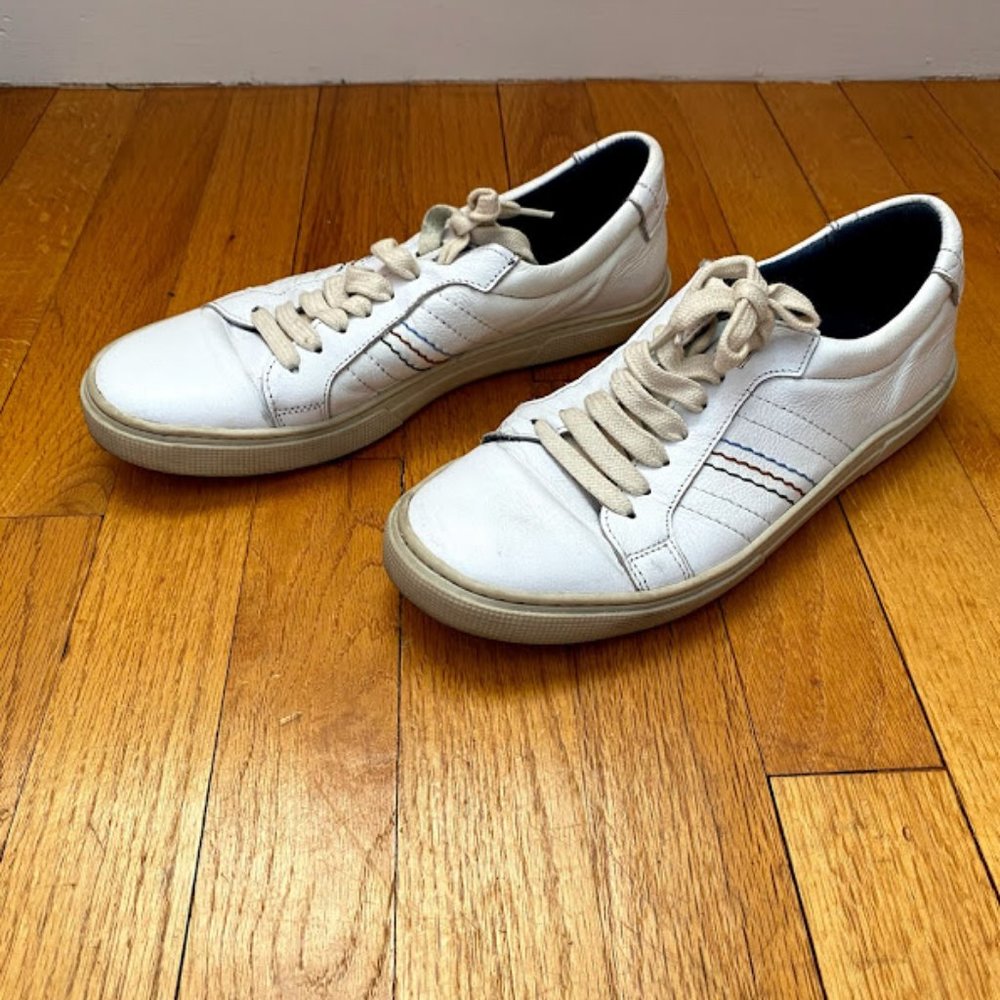 White Leather National Geographic Sneakers
